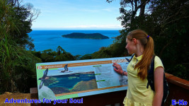 Kupes Trail lookout to motuara Island in Queen Charlotte Sound in 2023