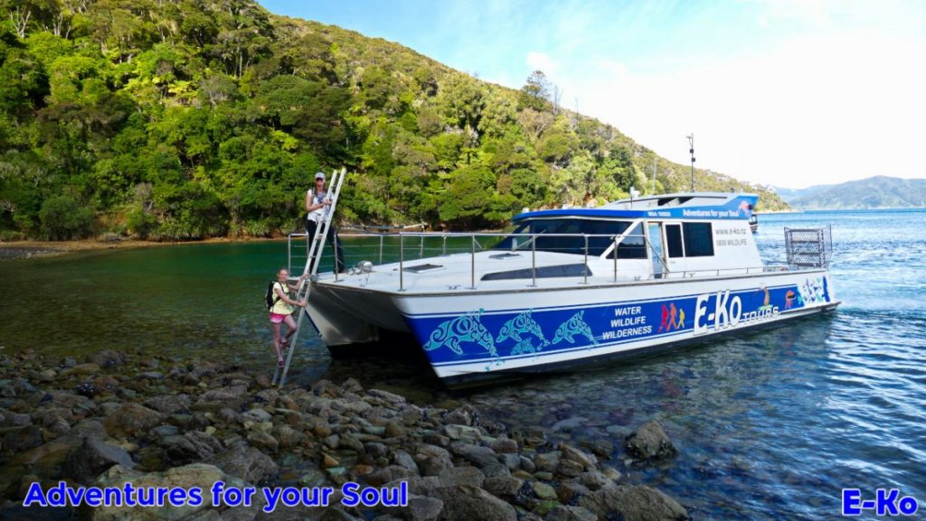Going to Shore in Queen charlotte sound