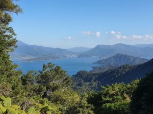 Queen Charlotte Track view