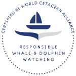 Responsible Whale & Dolphin Watching