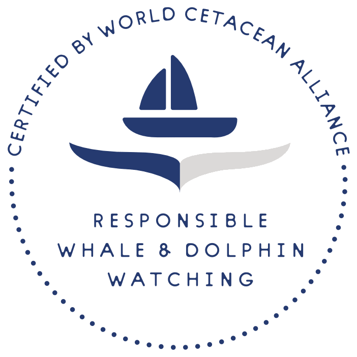 Responsible Whale & Dolphin Watching